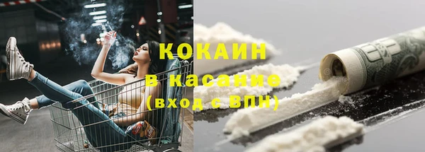 твердый Горняк