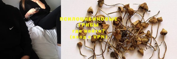 спайс Горнозаводск