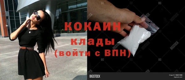 твердый Горняк