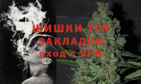 твердый Горняк