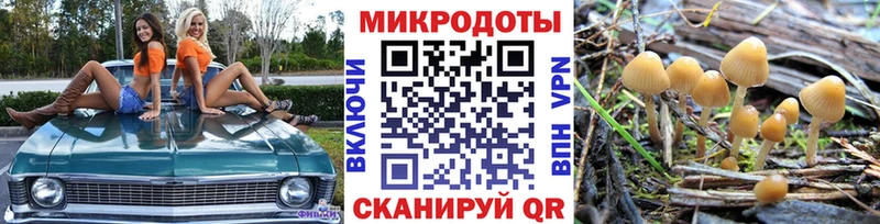 Купить где Нытва Галлюциногенные грибы мицелий